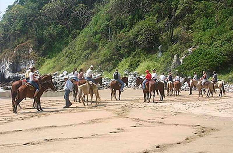 Zihuatanejo: Horseback Riding on the Beach - One hour on Playa Larga