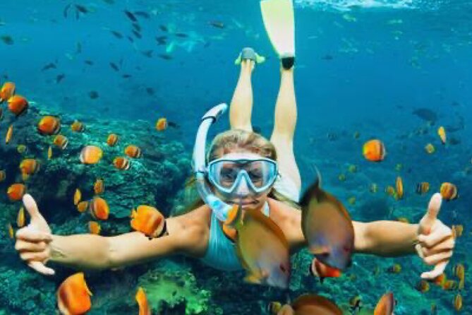 Zip-lining/Horseback Rides/Cat & Atv Inclusive Act with Transpo From Montego Bay - Who Will Enjoy This Tour Most