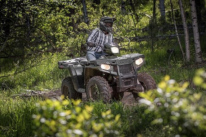 Zip-lining/Horseback Rides/Cat & Atv Inclusive Act with Transpo From Montego Bay - Horseback Riding Into the Sea