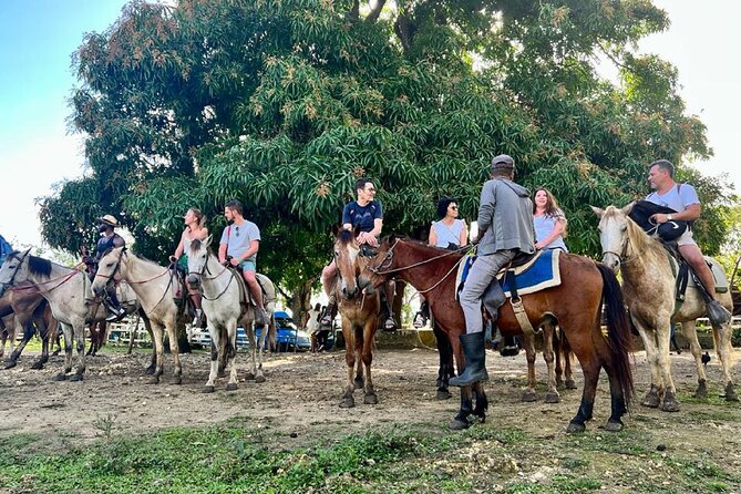 Zipline,Dune Buggy,Horse Riding - Guides, communication, and the human side