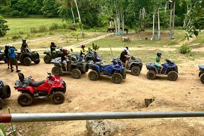 Zipline, Horseback Ride and Swim and Quad ATV bike in Negril - What to bring and what to clarify